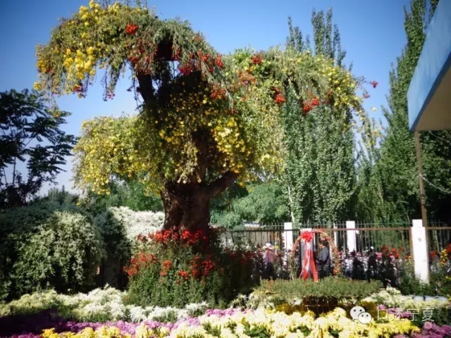 银川的中山公园有什么历史,银川中山公园的历史变迁