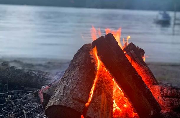 雄黄粉能驱蛇吗对人畜有无危害,蛇为什么害怕雄黄粉