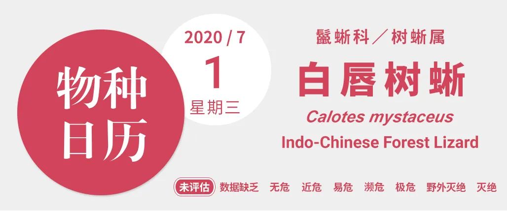 它是蓝颜祸水还是蓝颜薄命，都与你我有关