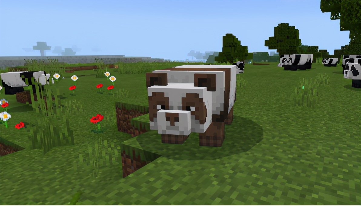 我的世界熊猫吃什么会繁殖,我的世界熊猫怎么繁育出特殊熊猫