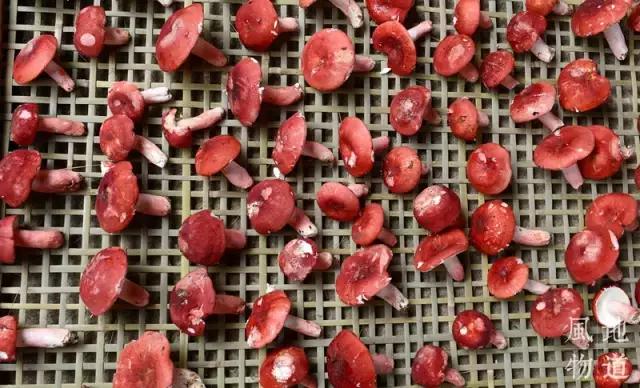 为什么有眼光的人来广西都会买这9种东西？