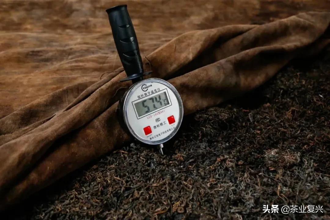 熟茶知识,熟茶的基本知识及讲解