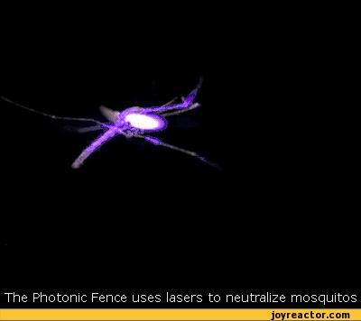 音乐可以驱蚊么,有什么音乐可以驱蚊子吗