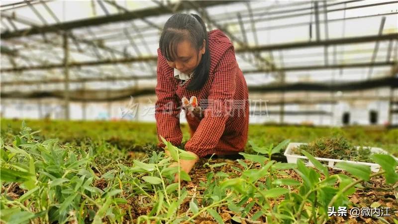 厉害发明专利,厉害了中国的技术