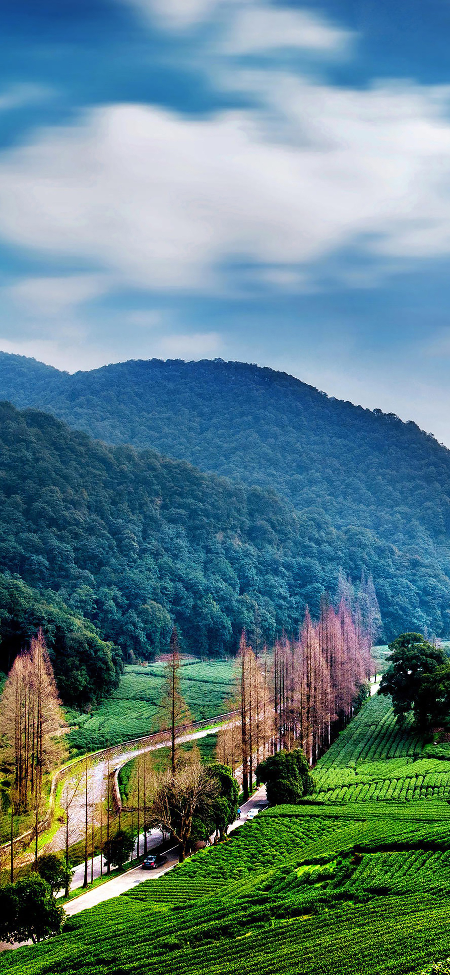 壁纸高清风景,精选风景壁纸看完都是一种享用