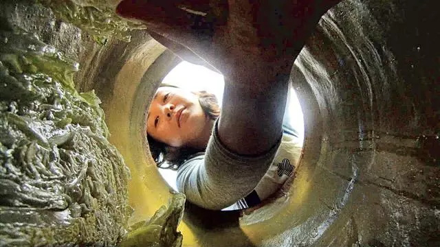 酸菜可以促进肠道蠕动增加食欲,快速吃酸菜方法