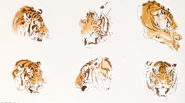 写意虎的画法教学视频,国画如何画虎教程图片大全