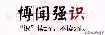 小学语文成语句子专项练习,小学生必背成语及解释造句