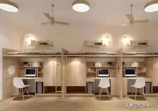 广东二本公办大学宿舍环境排名,广东本科公办学校宿舍环境