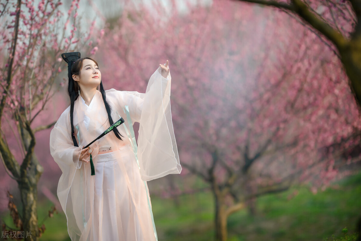 值得推荐的十本经典小说,必须看的几本经典小说