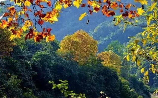 您有一份邀请函请查收,您有一份新的工作请查收