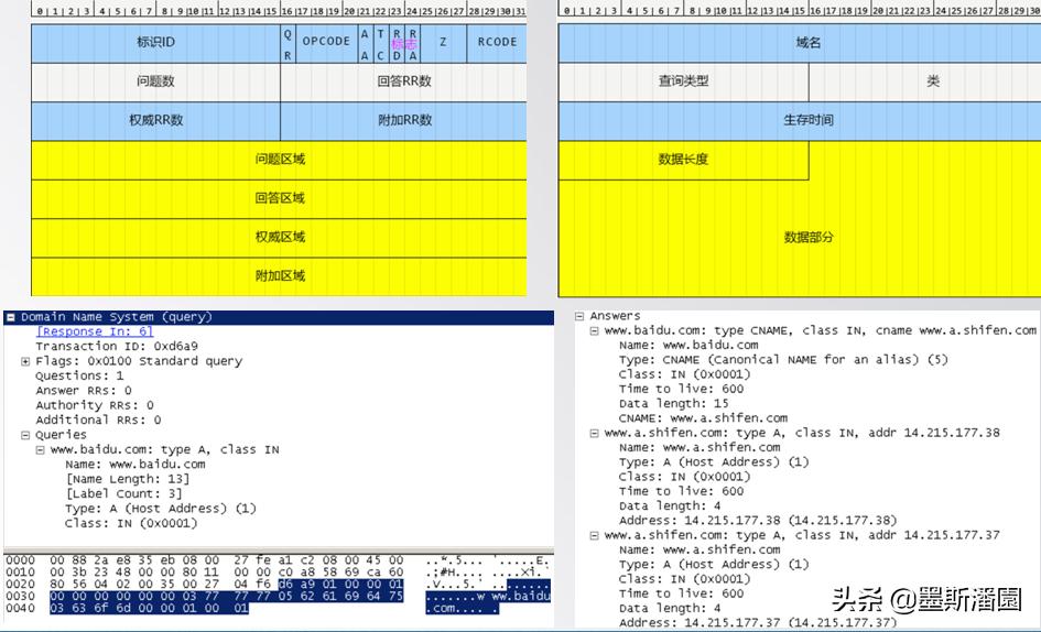 dns全套详细讲解,dns基本原理与操作