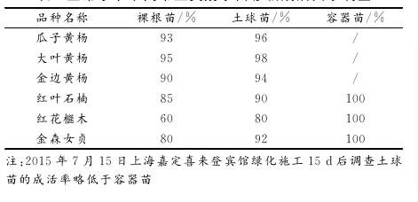 春天移栽红花檵木花太多不长芽,红花檵木移栽多久说明成活了
