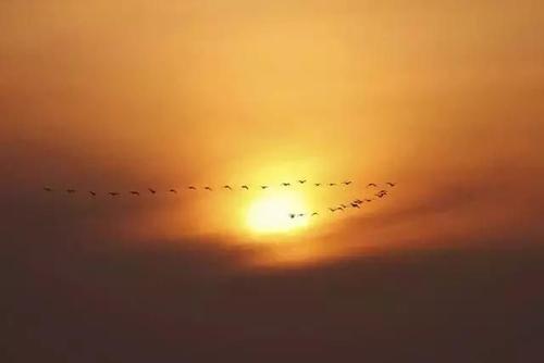 王国维说此词一出，千古以来无人匹敌。你同意吗？