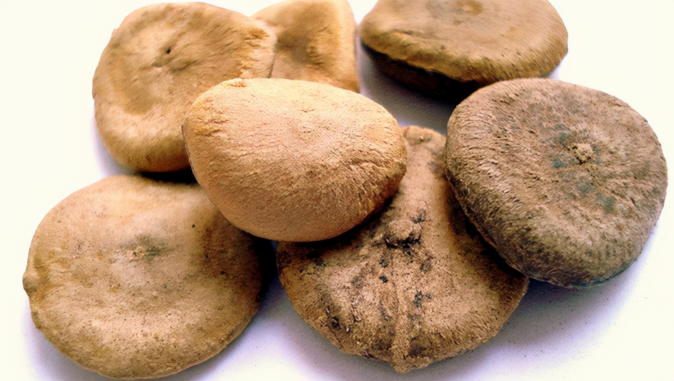 马钱子根治腰椎病,腰腿痛马钱子