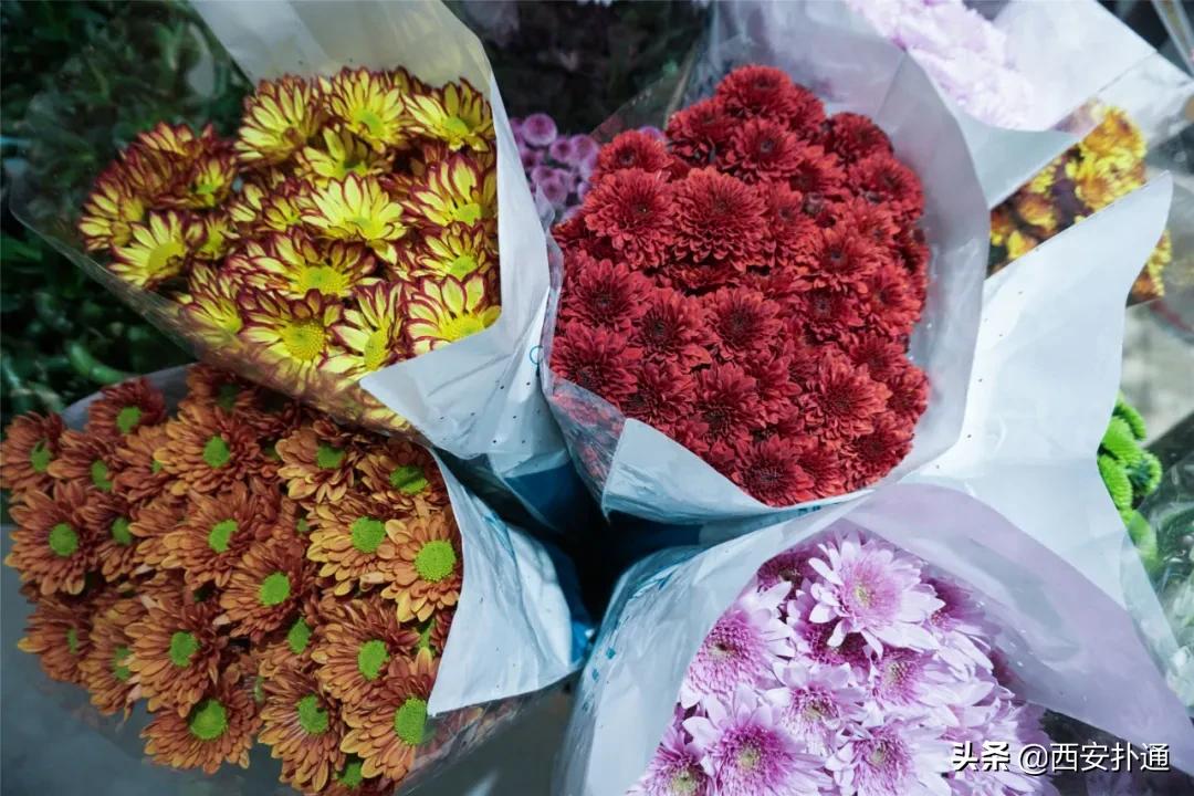 西安花市怎么买花便宜,西安最新花市