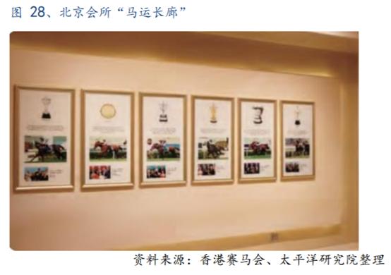 体育行业报告,体育赛马项目介绍