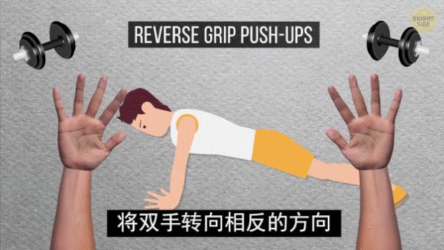 怎么练手臂的肱三头,怎么才能练出手臂的肱三头肌