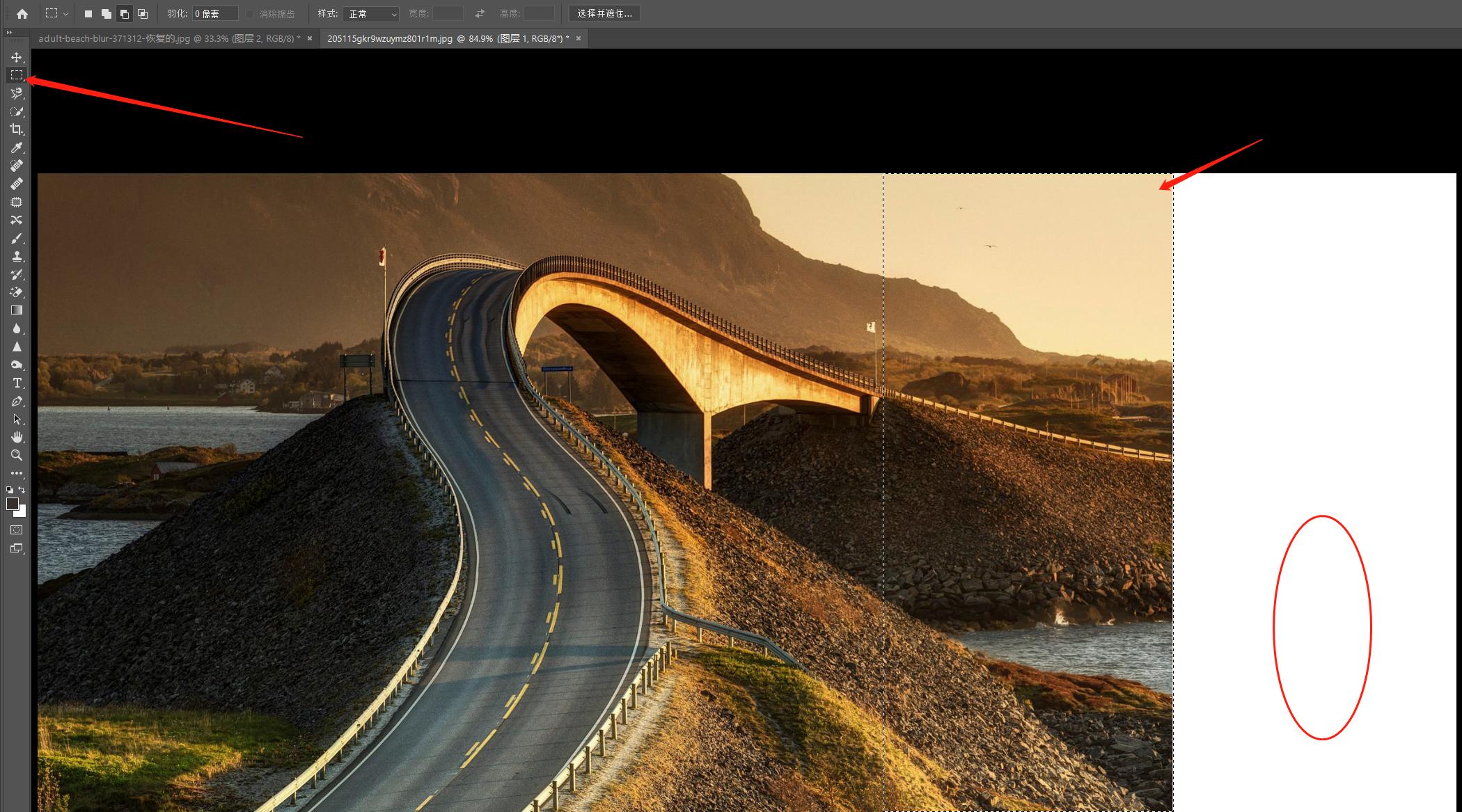 PS三大拦路虎之选区工具，7分钟循序渐进的轻松学习10种选区工具