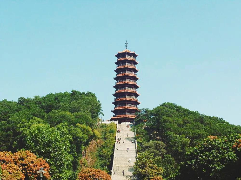 住在深圳光明新区好不好,住光明来南山上班