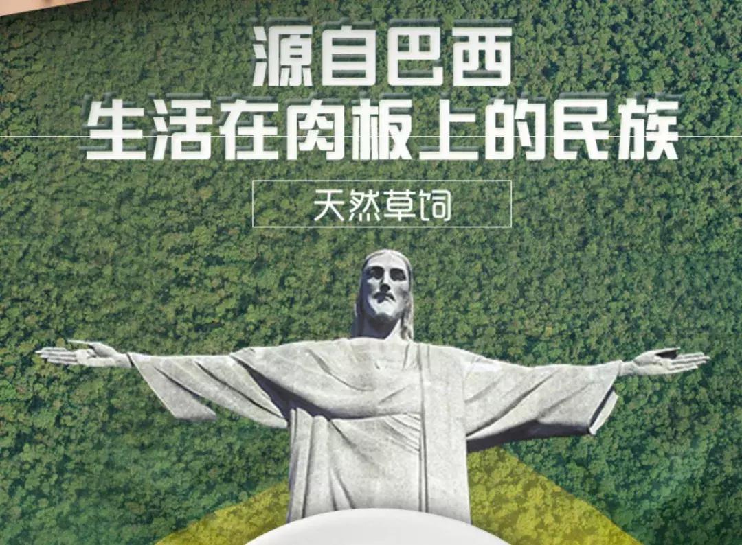 巴西进口牛肉最大进口商,巴西最大贸易国
