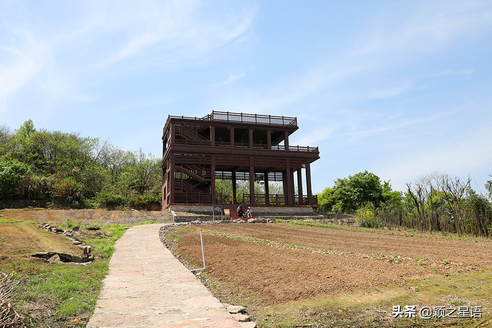 四明山十大观景台排名,四明山观景平台海拔