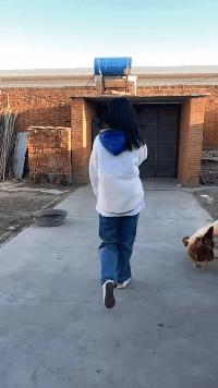 搞笑gif趣图看新娘表情,真好笑gif动图