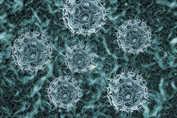 头孢和阿莫西林有哪些区别,头孢跟阿莫西林区别在哪