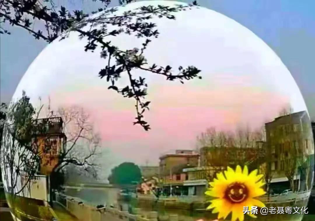 粤语的先生怎么发音,粤语的先生代表什么