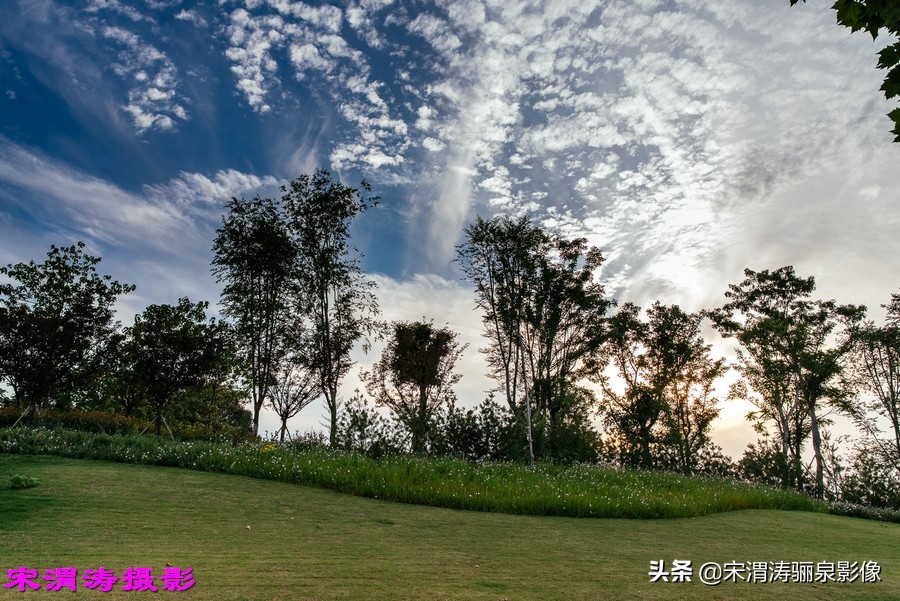 创业湖、健身绿道、仿古社区，关中这个南塬美不美