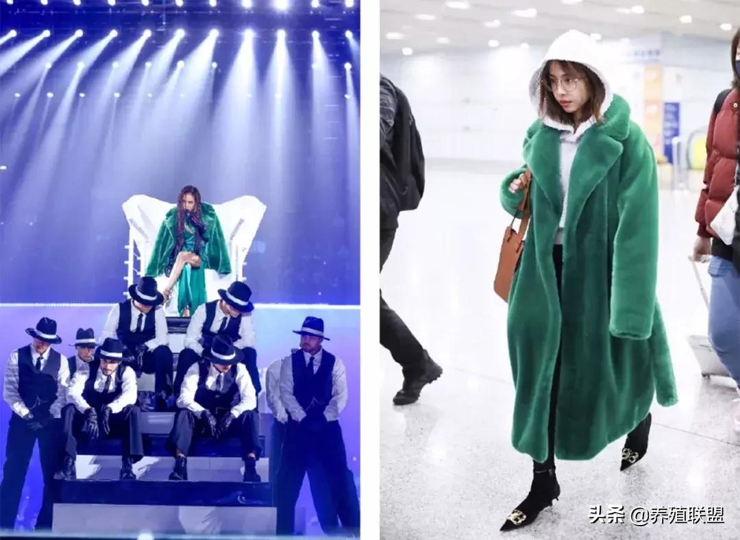 几千和几百的皮衣,一千块可以买什么档次的皮草