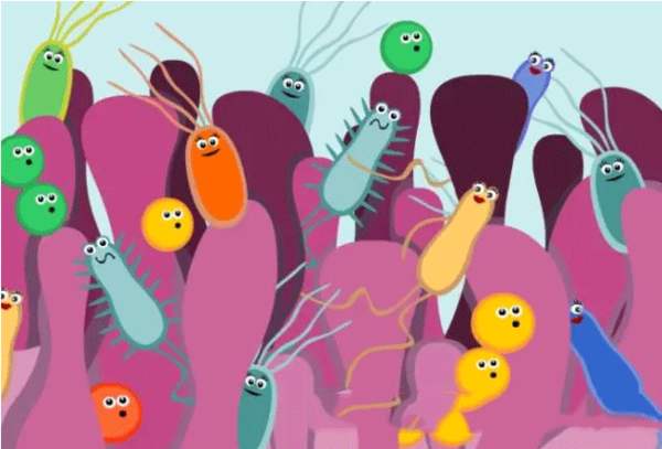 红酒10年还能喝吗,红酒发酸后还能喝吗