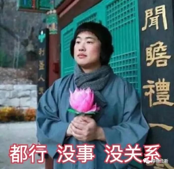 鼠年马月马日马时出生的运势怎样,鼠年马月打一个生肖