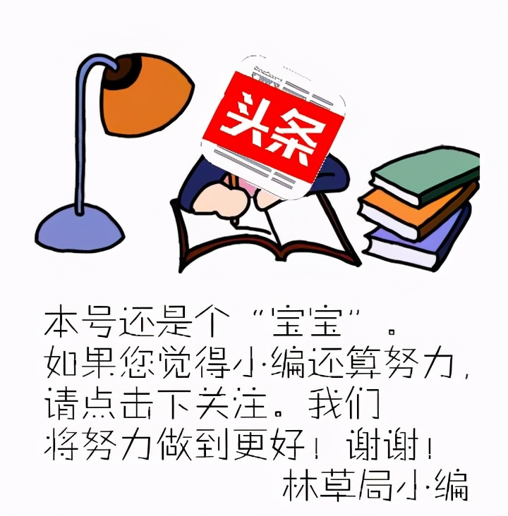 海鸟为什么会有季节性,海鸟能养活嘛