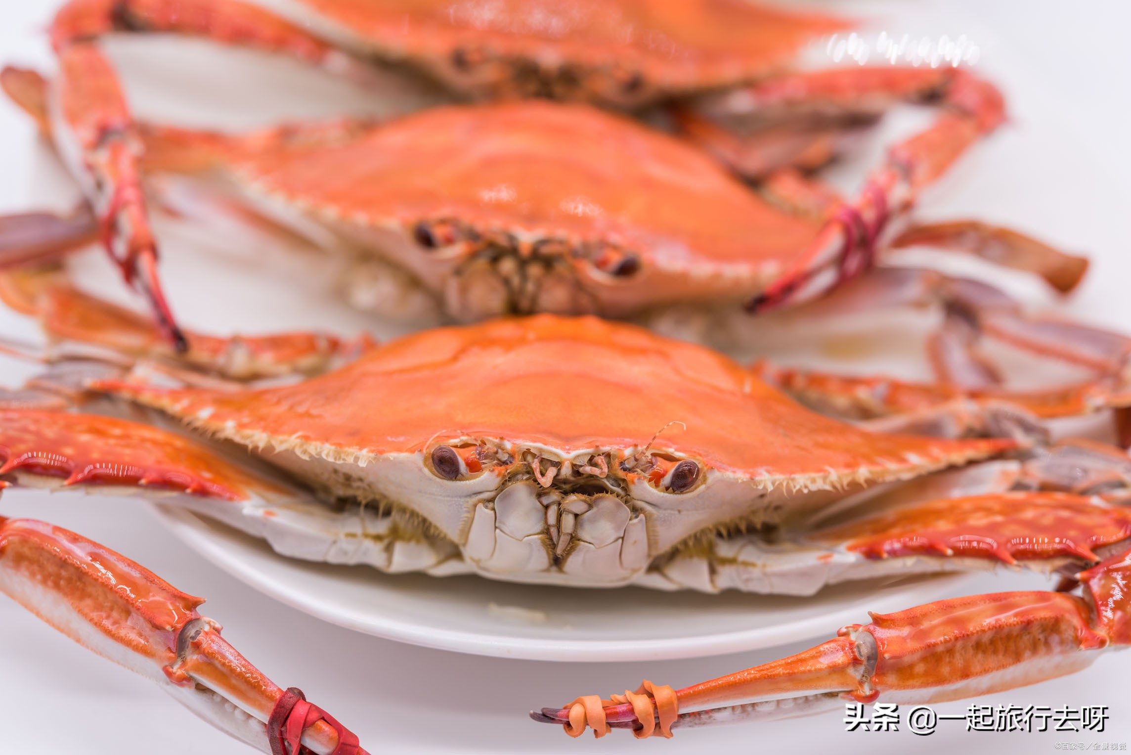 大连必吃的海鲜美食排行榜前十名,大连海鲜烟台海鲜哪个好吃