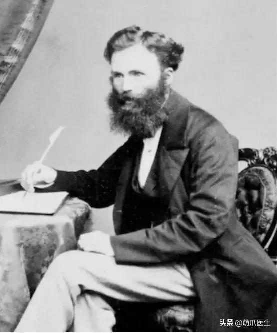 你的猫可能正在抑郁的深渊中挣扎,你家的猫会抑郁症吗