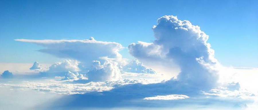 被蜂蛰过应该怎么处理,被蜂蛰到怎么样处理