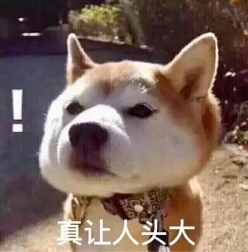 小狗用英语怎么说啊,小狗用江苏话怎么说