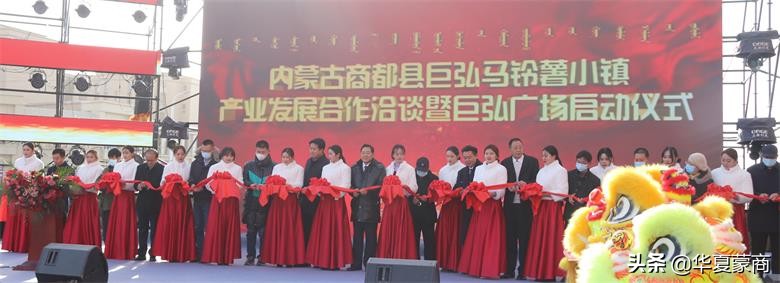 内蒙商都县马铃薯基地,内蒙古马铃薯种植示范基地