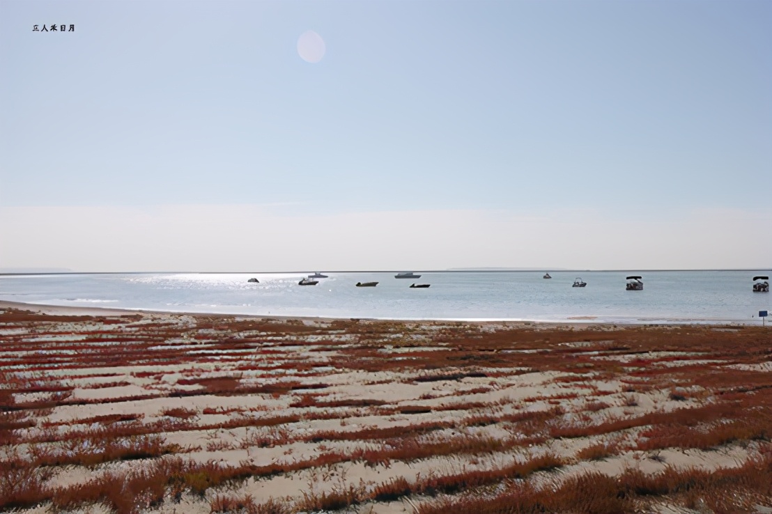 森林公园白鸟湖,乘风湖百鸟乐园