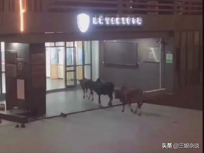 真的服了！北京2154万人口，我打个车都能拼到前男友……