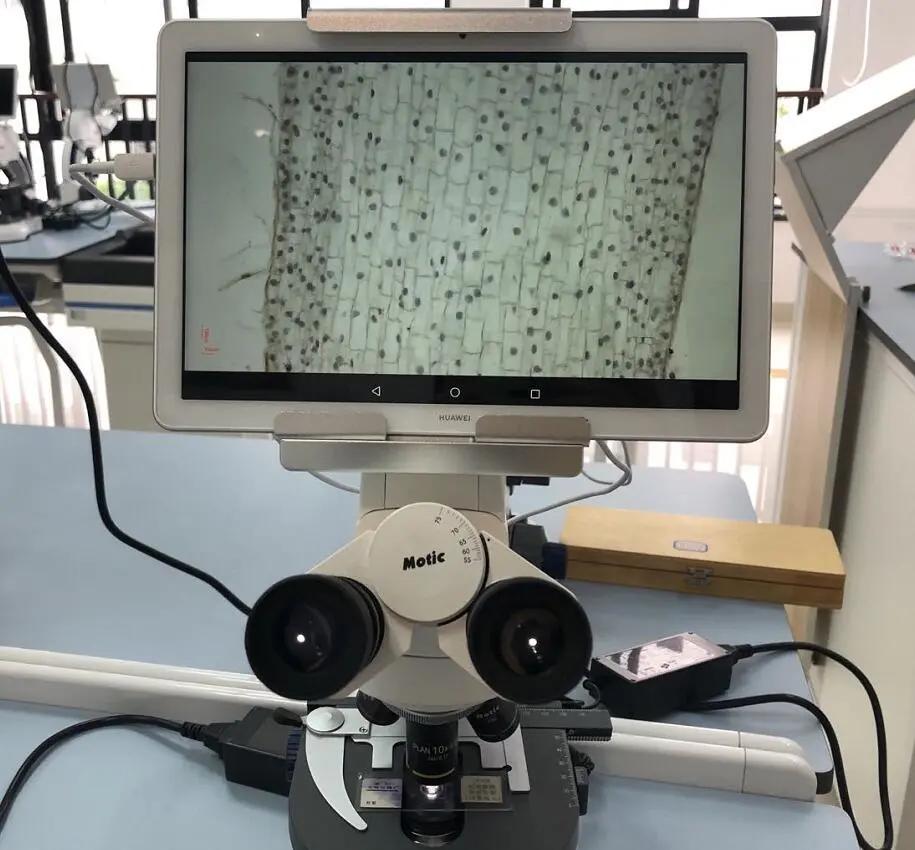 50个名额，拼手速“秒杀”！一群提前上岸的保送生连说“挖到宝了！”