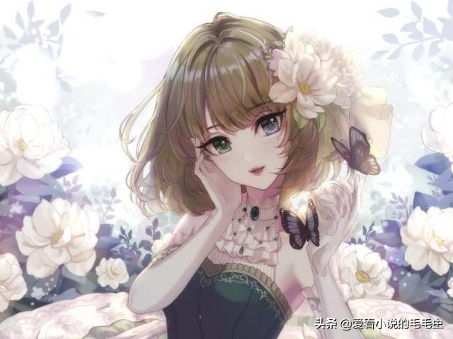 超长篇女宠男小说推荐,男生女生各类型完结小说书单推荐