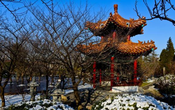 徐州十大好玩的旅游景点，龟山汉墓是西汉时期第六代君主的夫妻合葬墓，气势雄伟罕见