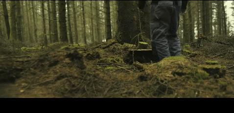 绑架，勒索，拿赎金；可我没猜到结局：图解欧美电影