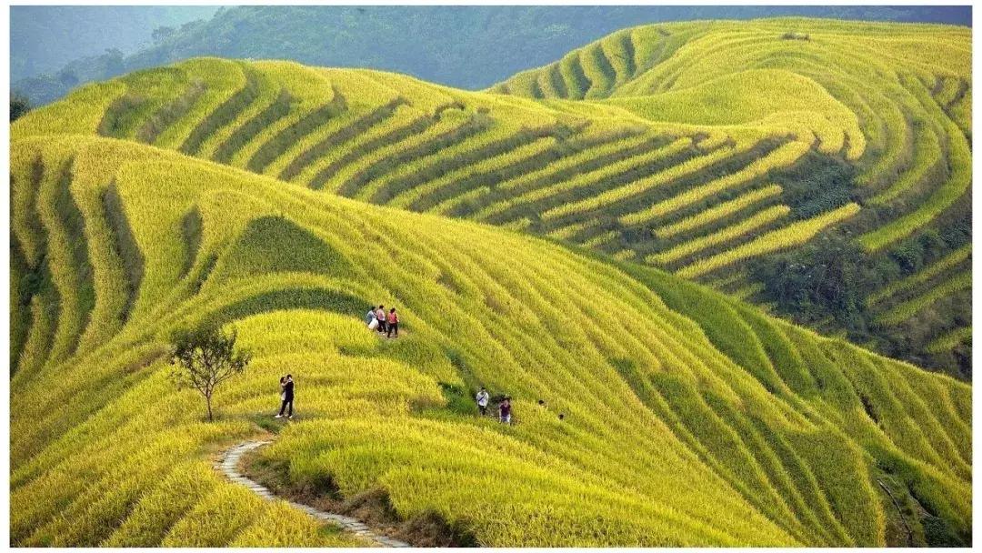 福建到广西高铁什么时候通车,福建能直达广西的高铁