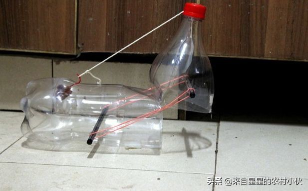 家里进了老鼠老鼠是怎么生存的,老鼠的正确处理方法