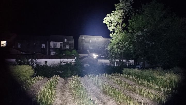 新手入门推荐几款强光手电,最好的几款随身隐蔽手电