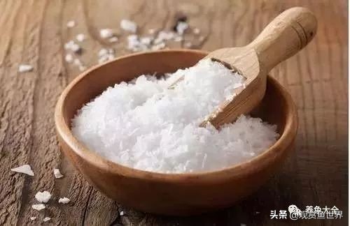 养小型观赏鱼常备药,观赏鱼能用什么药最安全