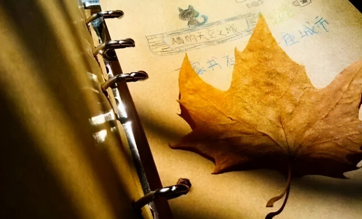 没有物质的爱情是不能维持下去的,所谓的爱情都是建立在物质基础上